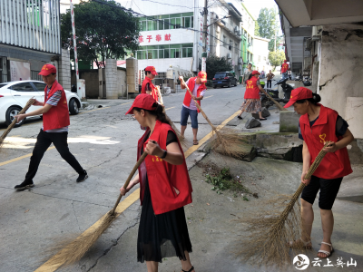 英山县商务服务中心积极开展爱国卫生大扫除志愿服务活动