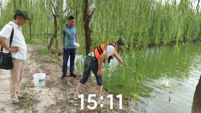 英山縣開展水產(chǎn)品和水環(huán)境抽檢工作