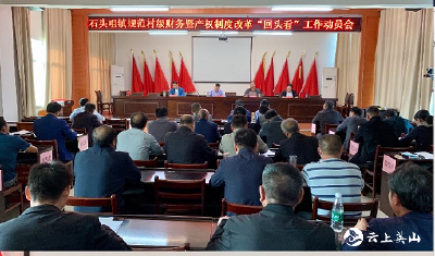 【快讯】英山县石头咀镇召开规范村级财务暨产权制度改革“回头看”工作动员会