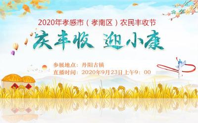 2020年孝感市（孝南區(qū)）農(nóng)民豐收節(jié)“慶豐收 迎小康”