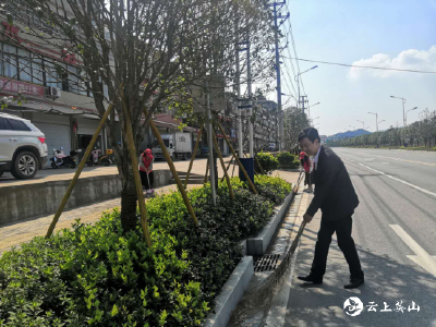 英山县委党校组织党员干部到秀峰网格开展志愿服务活动