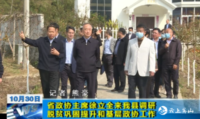 【视频】湖北省政协主席徐立全来英山县调研脱贫巩固提升和基层政协工作