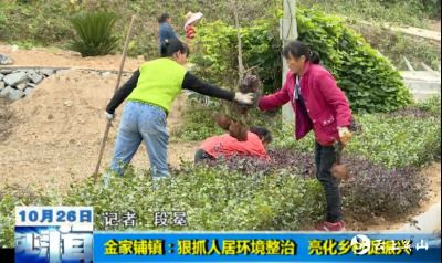 【视频】英山县金家铺镇：狠抓人居环境整治   亮化乡村促振兴   
