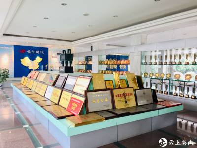 2020湖北民营企业100强名单揭晓，英山县一企业上榜