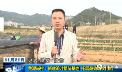【视频】黄泥岗村：新建茶叶繁苗基地拓展高效增收门路