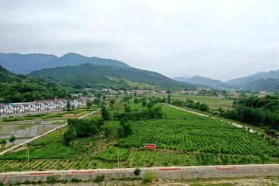 石头咀镇：“一村一景”打造生态宜居家园