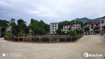 抓实五个一，人居环境整治不漏一户——英山县杨柳湾镇桥头边村人居环境整治简介
