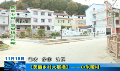 【美丽乡村大展播】英山温泉镇小米畈村         