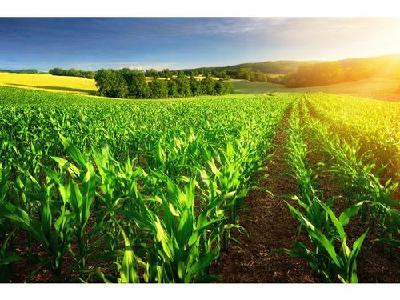 英山县农业新业态激活传统产业潜在价值
