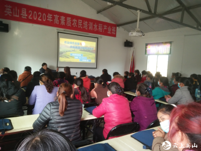 英山县农业农村局组织开展高素质农民水稻产业培训班