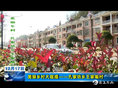 【美丽乡村大展播】孔家坊乡王家畈村