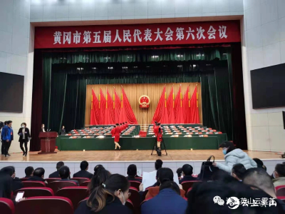 英山县代表委员精神饱满参加市“两会”