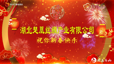 【2021新春大拜年】湖北楚凰丝绸产业有限公司