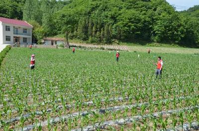 英山县农业农村局喜获“全省农业农村工作成绩突出单位”称号