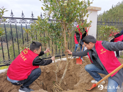九昇城发集团：“植”下绿色，“树”起希望