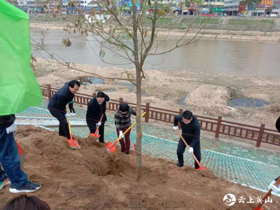 县领导带头开展春季义务植树活动