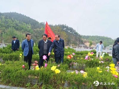 县机关事务服务中心开展党史学习教育活动