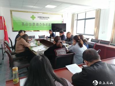 县供销社党史学习教育读书班进行集中学习