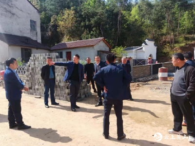 雷家店镇扎实推进美丽乡村建设暨党员分类管理工作