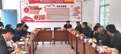 【快讯】英山县金家铺镇茶园村开展“祭英烈，学党史，助力乡村振兴”活动