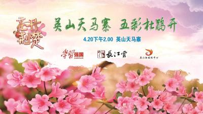 花开荆楚 | 英山天马寨 五彩杜鹃开