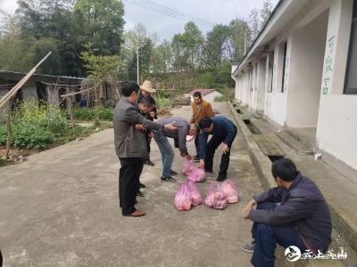 金家铺镇：用心学党史 真心办实事