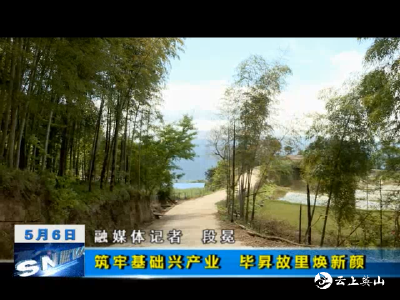 筑牢基础兴产业    毕昇故里焕新颜