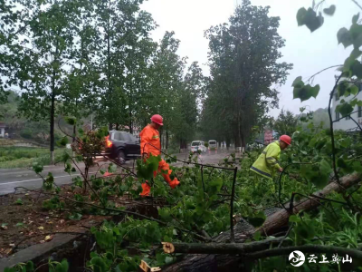 突发！暴雨致多处行道树倾倒，英山公路人紧急抢险保畅通