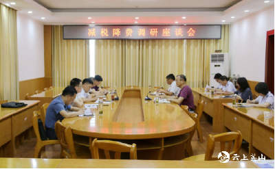 县人大常委会副主任陈德峰到县税务局调研减税降费工作