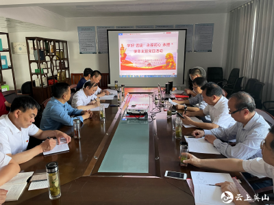 【党史学习进行时】县茶叶办、英山云雾茶产业协会联合举办支部主题党日活动