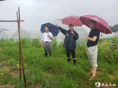 县农业农村局积极做好防汛救灾工作