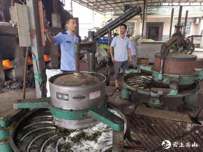 杨柳市场监督管理所开展茶叶专项整治行动