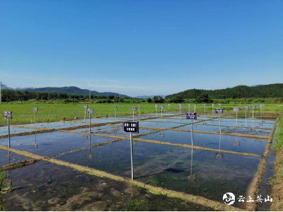 我县扎实推进化肥农药减量控害增效行动