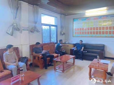 县党史学习教育巡回指导组到杨柳湾镇指导党史学习教育工作