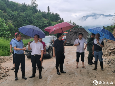 程水清到杨柳镇施家湖采石场指导排险工作