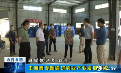 王海霞专题调研农业产业发展情况