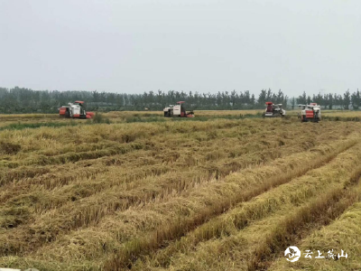  英山首个农机合作社走出山门赢得市场