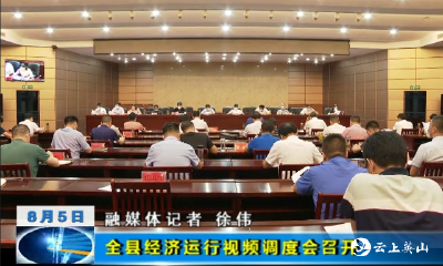 全县经济运行视频调度会召开