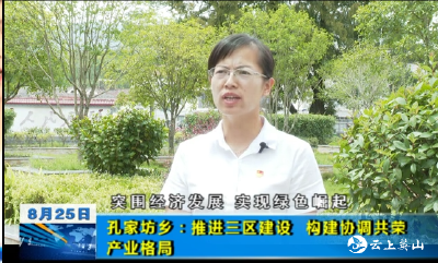 【突围经济发展 实现绿色崛起】孔家坊乡：纵深推进三区建设 系统构建协调共荣的产业格局        