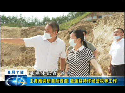 王海霞调研自然资源、能源及特许经营权等工作