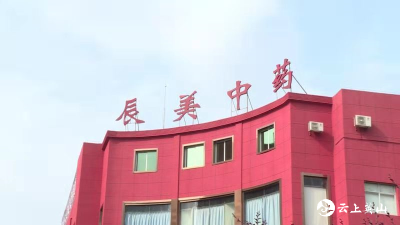 市委常委、组织部长何飞带队来我县调研红色美丽村庄试点村建设和“千人进千企”工作