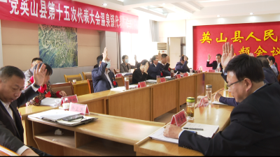 王海霞参加温泉代表团讨论