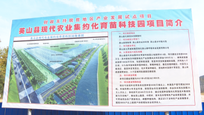 【喜迎党代会 展现新作为】加快现代农业发展 推动乡村振兴开新局