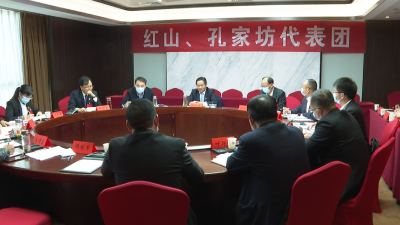 【聚焦两会】代表 委员分组讨论政府工作报告