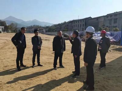 张全斌到孔家坊乡调研