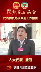  代表热议工作报告  盛皖 