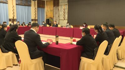 【聚焦两会】王海霞参加法制提案组讨论