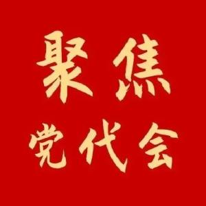 VR全景看黄冈市第六次党代会闭幕