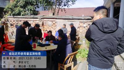 省植保总站来英山检查指导农药使用量调查监测工作