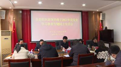 县委组织部召开党史学习教育专题民主生活会